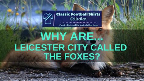 Why Are Leicester City Called The Foxes? (Solved)