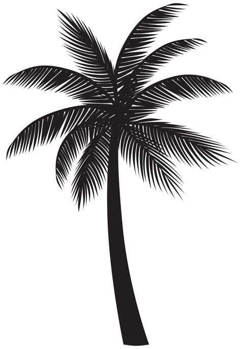 Transparent palm tree silhouette png transparent image download