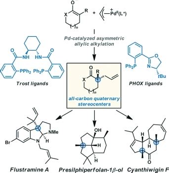 The Construction of All‐Carbon Quaternary Stereocenters by Use of Pd‐Catalyzed Asymmetric ...