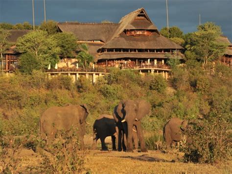 Victoria Falls Safari Lodge - African elegance in Victoria Falls