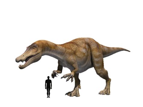 Image - Baryonyx Size.jpeg | Dinopedia | FANDOM powered by Wikia