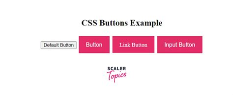 Button CSS - Scaler Topics