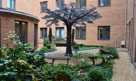 Seven of the UK's healing hospital gardens – in pictures | Hospital, Garden pictures, Lakeside ...