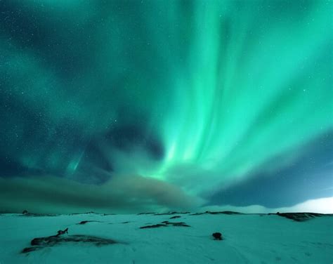 Premium Photo | Aurora borealis above the snow covered mountain hill