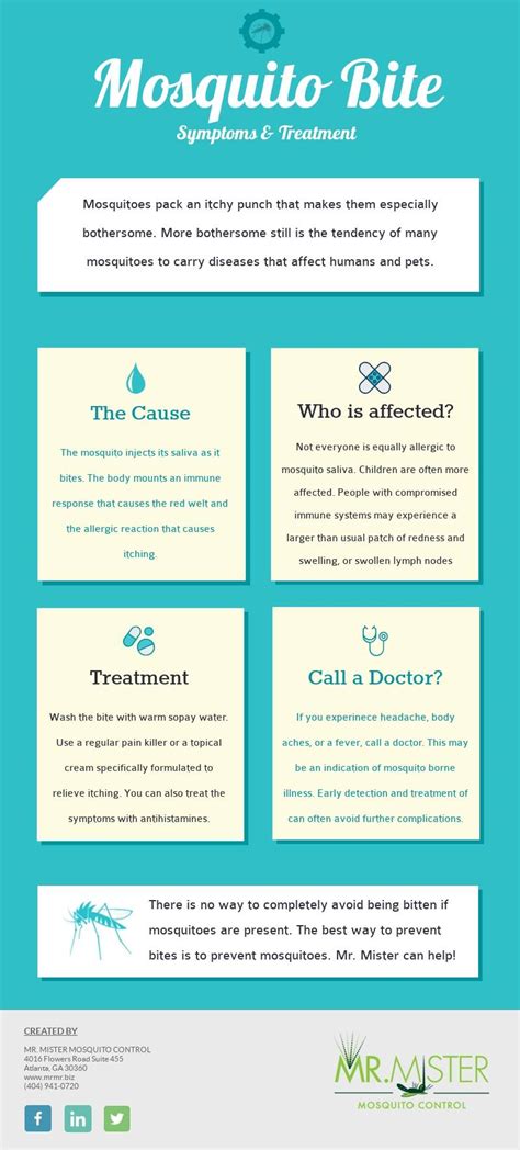 Mosquito Bite Symptoms and Treatment | Mr. Mister Mosquito ControlMr ...