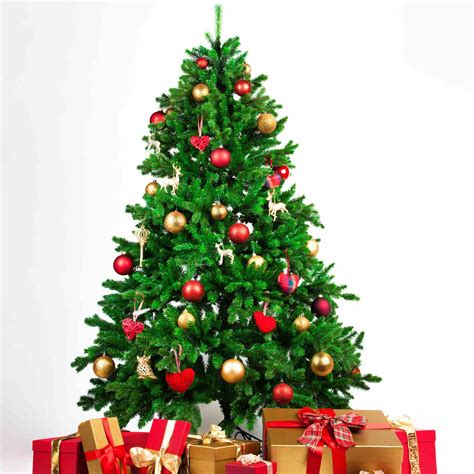 The 7 Best Places to Buy a Christmas Tree in 2021