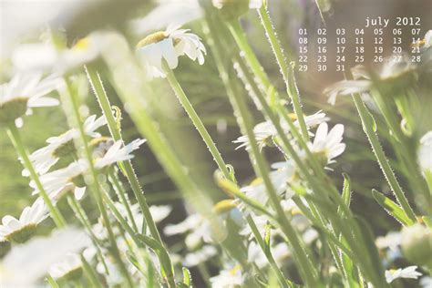 sassafras: july desktop calendar :: nature photography