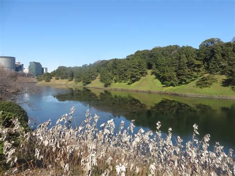 Tokyo Imperial Palace offers gorgeous gardens for scenic strolls