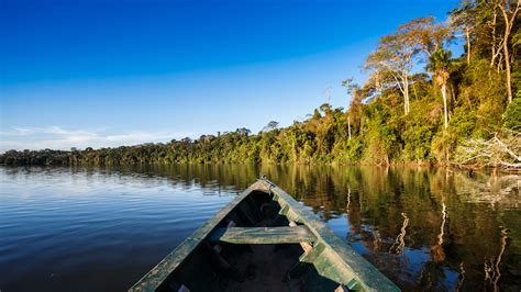 Het Colombiaanse Amazone regenwoud - Colombia.nl