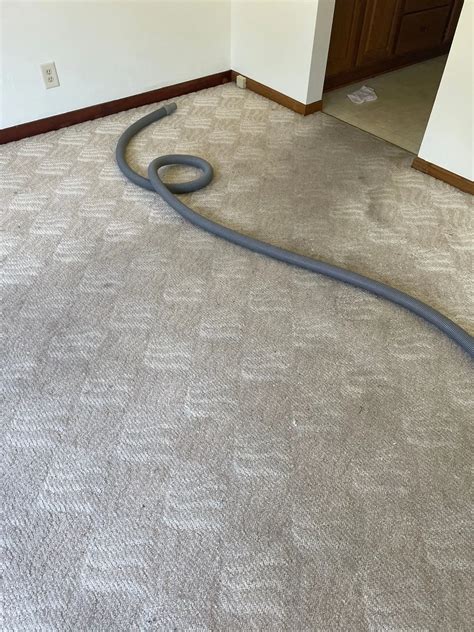 Carpet Cleaning