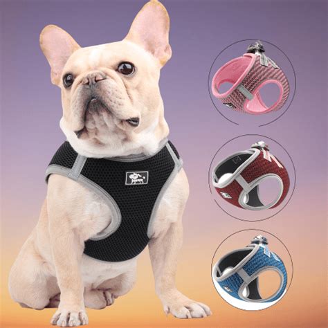 French Bulldog Harness Set - Frenchie Complex Shop