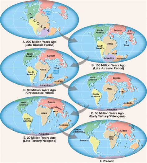 Solved: During the breakup of Pangaea, which continent was actu ...