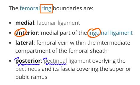 Femoral ring relations ... | Anatomy, Relatable, Overlays