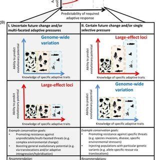 Four main types of adaptive evolutionary mechanisms | Download Table