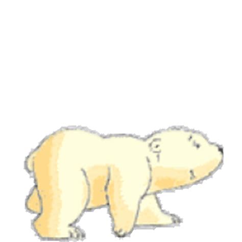 Baby Polar Bear Walking Gif