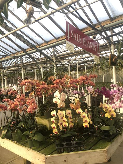 Hausermann’s orchid nursery : r/orchids