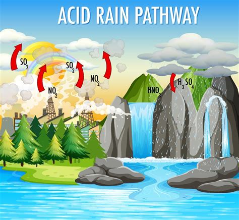 Diagram showing acid rain pathway 3427051 Vector Art at Vecteezy