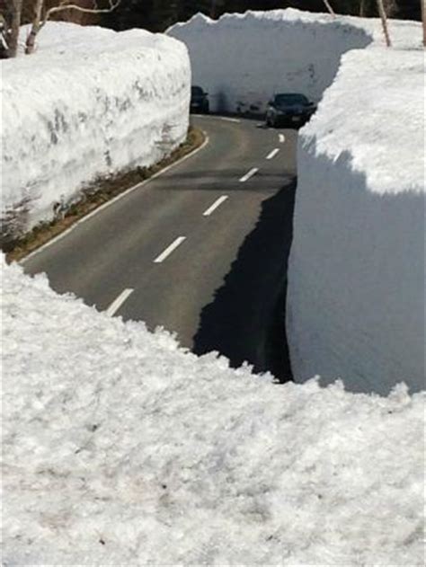 Great outing in early April! - Review of Snow Corridor, Aomori, Japan ...