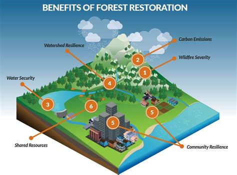 Investors Can Calm Western Wildfires | Conservation Finance Network