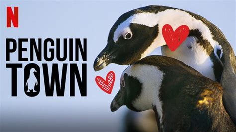 Penguin Town Season 1 Review: A Documentary Like Never Before | Leisurebyte