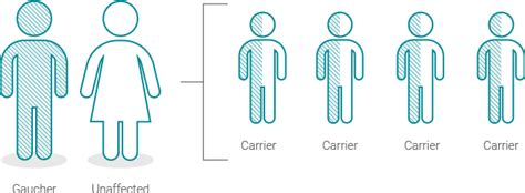 How Is Gaucher Disease Inherited? | Cerezyme® (imiglucerase)