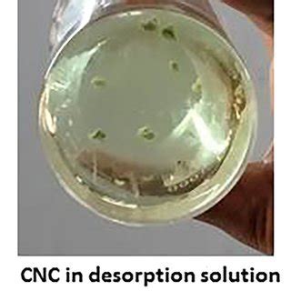 a Methylene blue dye at 0.0001% treated with CNC (trail 1); b methylene ...