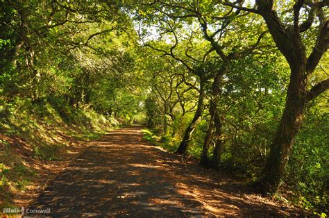 Walk of the Month: The Loe — Cornwall 365 What's On