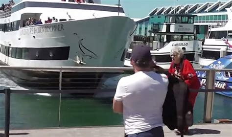 A Boat Crashing Into San Diego Dock | WordlessTech