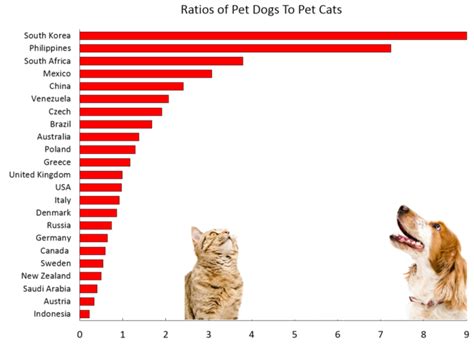 Which Country Has The Most Dogs As Pets