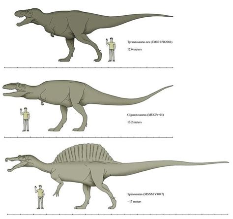 Jurassic Park Dino Comparison | Jurassic park world, Spinosaurus ...