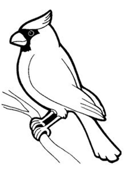 Chickadee Bird Coloring Pages - ClipArt Best