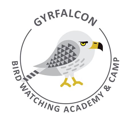 Gyrfalcon - Bird Watching Academy