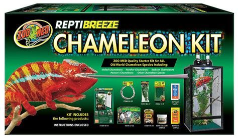 How to Set Up a Chameleon Cage - Pets & Animals Tips