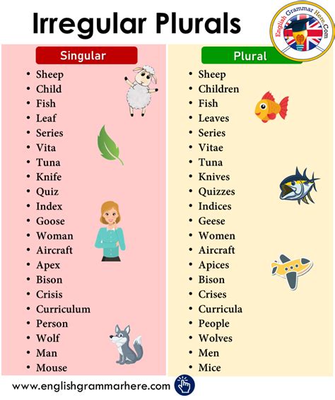 Irregular Plurals | Irregular Plurals Noun in English - English Grammar Here Teaching English ...