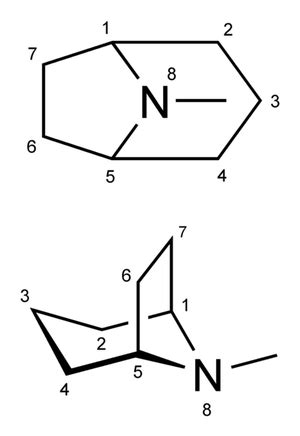 Substituted tropanes - PsychonautWiki