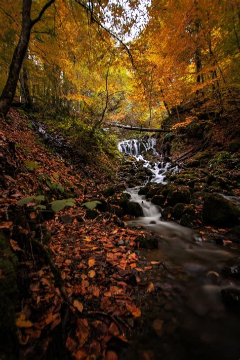 4 Favorite Ways to Enjoy the Gatlinburg TN Fall Colors | Smoky ...