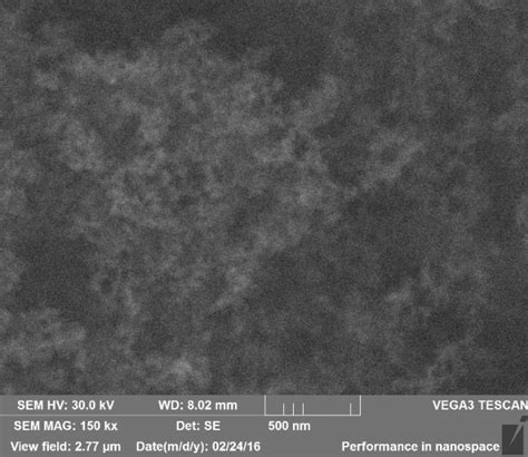 SEM image of SiO2 nanoparticles. | Download Scientific Diagram