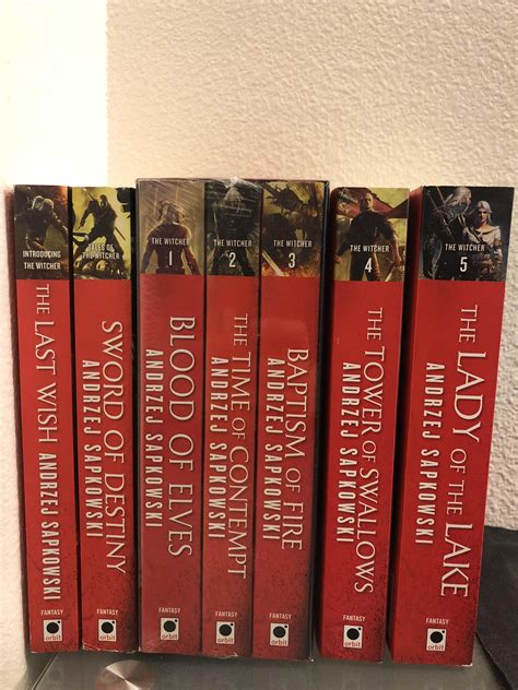 Pin by Andrea Knauff on Books in 2020 | The witcher books, The witcher book series, The witcher