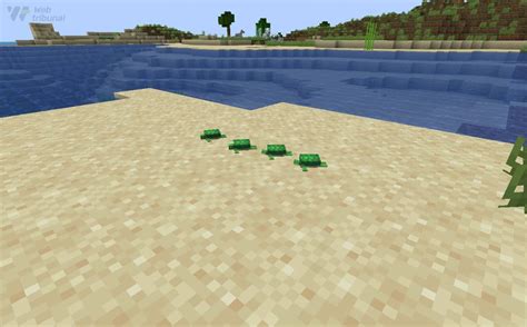 How to Hatch Turtle Eggs in Minecraft and What to Do with Them