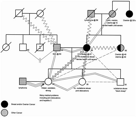 30 How to Create A Genogram | Example Document Template