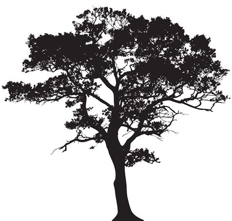 Silhouette Tree Png Clip Art Image Tree Silhouette Tattoo Tree | My XXX Hot Girl