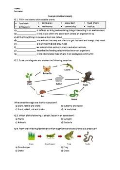 Ecosystem - Worksheet | Easel Activity & Printable PDF by Science Worksheets