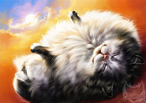 Catamancer- Fluffy Cat by TamberElla on DeviantArt