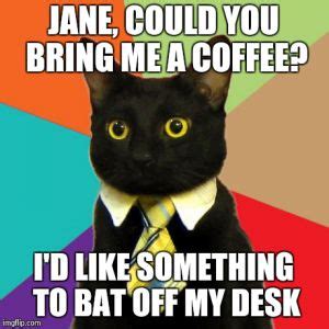 Business Cat Meme Generator - Imgflip