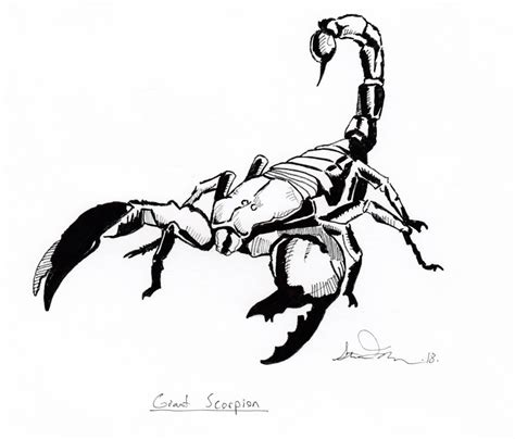 Giant Scorpion by stevedaskam on DeviantArt