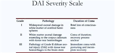 Diffuse Axonal Injury Grading System - PT Master Guide