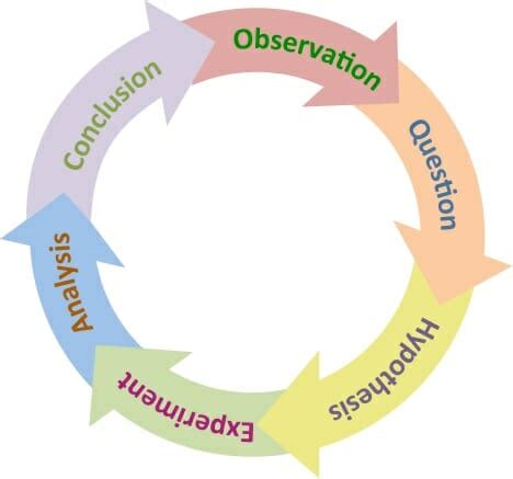 Scientific Method - Definition, Steps & Experiments | Biology Dictionary