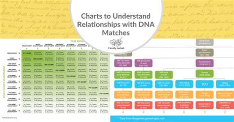 Charts to Understand Relationships with DNA Matches – Family Locket