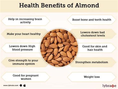 How Many Almonds Per Day In Pregnancy - PregnancyWalls