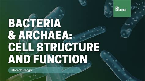 MICROBIOLOGY 🧫 I Cell Structure & Function: Domain Archaea & Bacteria ...